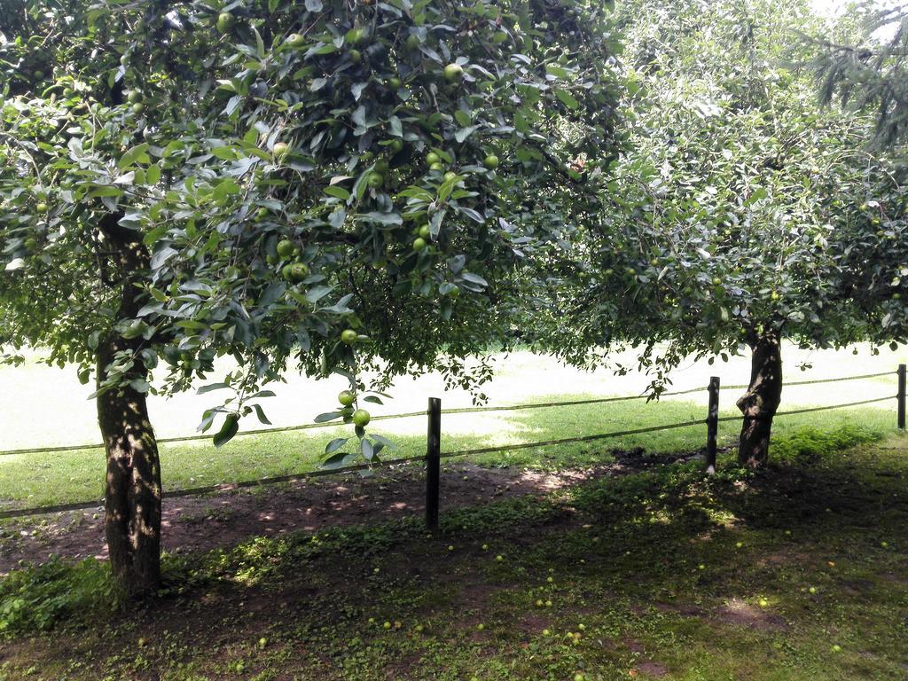 فيلا Uelsenفي Ferienhaus Am Waldchen المظهر الخارجي الصورة
